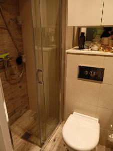グダニスクにあるApartament Brzeźnoのバスルーム(トイレ、ガラス張りのシャワー付)
