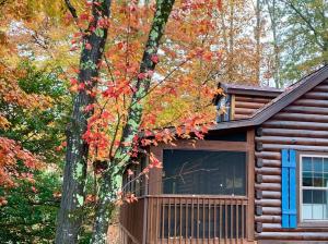 een blokhut met een boom ervoor bij Log Cabin Walkable to Lake Lure & Chimney Rock - Blue Skies in Lake Lure