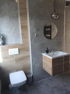 a bathroom with a toilet and a sink and a mirror at Holiday House Dąbrówno in Dąbrówno
