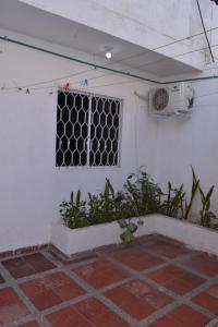 a window in a white wall with plants next to it at Casa para Vacaciones Riohacha in Ríohacha