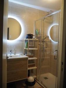 bagno con doccia e lavandino di Gîte Location des 4 saisons a Bacilly