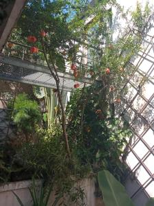 a greenhouse with a bunch of plants in it at Location lydie in Antananarivo