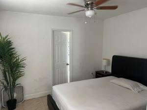 a bedroom with a bed and a ceiling fan at Miami haven by airport in Miami