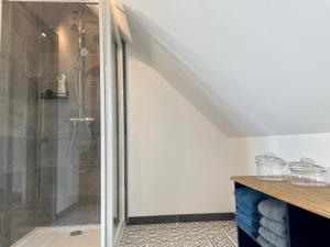 uma casa de banho com um chuveiro e uma porta de vidro em Le gîte du four à pain em Noyers-sur-Cher
