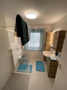 a bathroom with a shower and two blue mats at Ferienparadies Bodensee Fewo1 in Owingen