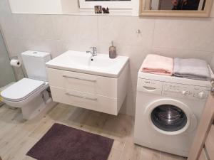ein Badezimmer mit einem Waschbecken und einer Waschmaschine in der Unterkunft Antonio house in Ramučiai
