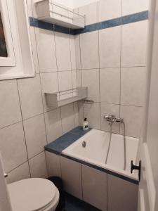 a bathroom with a toilet and a bath tub at Комната pilika 4room with shared bath in Athens