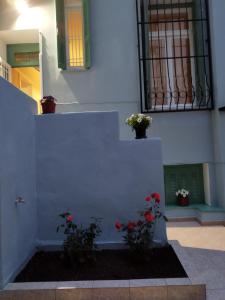 a stairway with flowers on the side of a building at Комната pilika 4room with shared bath in Athens