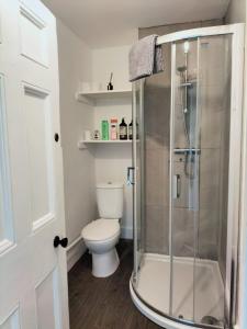a bathroom with a toilet and a glass shower at Brynawel in Aberystwyth