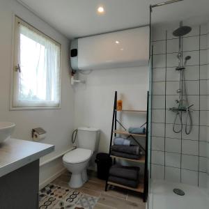 uma casa de banho com um WC e uma cabina de duche em vidro. em Eden Koï em Conteville