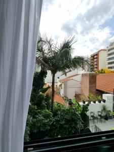 una vista dalla finestra di un balcone con una palma di Departamento estilo minimalista a estrenar a Buenos Aires