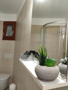 un bagno con due piante in vaso su una mensola di Casa Elisa affittacamere ad Armeno