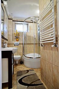 a bathroom with a tub and a toilet and a sink at Apartamenty i Pokoje Gościnne nad Soliną Drozdówka in Solina