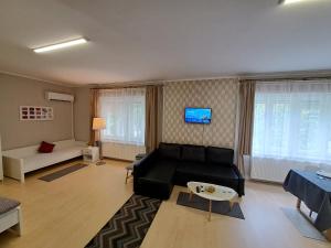 ein Wohnzimmer mit einem schwarzen Sofa und einem TV in der Unterkunft Árkád Apartmanház Szeged in Szeged