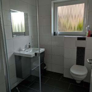 uma casa de banho com um WC, um lavatório e uma janela em Kleine Auszeit - Ferienwohnung Heideberg - "Rhein" in den Urlaub em Bacharach