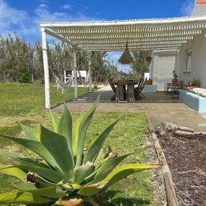 Maria Vinagre的住宿－Casa da Maria • Natural Côte • Aljezur，一个带凉棚、桌子和野餐桌的花园