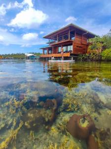 una casa en un barco en un cuerpo de agua en Bahia Coral Lodge en Bocas Town