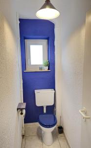 a bathroom with a toilet with a blue wall at AMS Apartments The Royal Blue in Spaichingen