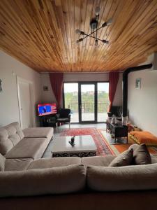 - un salon avec un canapé et une table dans l'établissement Ayliya köy evi, à Trabzon