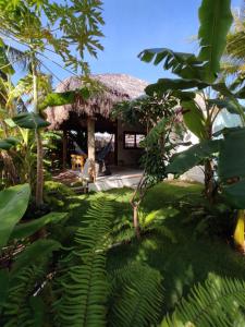 une maison avec un toit de chaume et des plantes vertes dans l'établissement Chill Kite - Icaraí Kite Village, à Icaraí