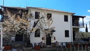 a white house with a tree in front of it at Studio Sevasti in Kala Nera +12 photos