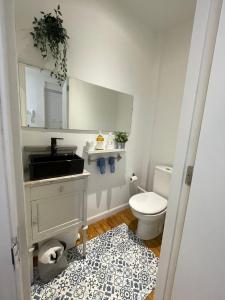 een badkamer met een wastafel, een toilet en een tapijt bij Habitación Centro Pamplona - acceso independiente in Pamplona