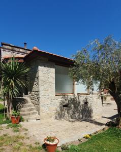 a stone house with a palm tree in front of it at Casa do Forno de Cal in Vila do Conde