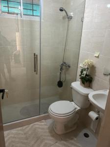 a bathroom with a shower and a toilet and a sink at Condo in Santiago De Los Caballeros in Santiago de los Caballeros