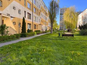 een park met een bank in het gras naast gebouwen bij Apartament Ślęczka in Zabrze