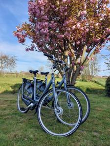 Bed & Bike Op Texel في دن بورخ: اثنين من الدراجات متوقفة بجوار شجرة مع الزهور