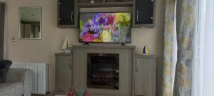 a living room with a television and a fireplace at Withernsea luxury caravan hire in Waxholme