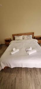 Katil atau katil-katil dalam bilik di Hotel Canionel