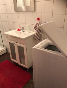a bathroom with a sink and a washing machine at Taras Rom og leiligheter in Kragerø