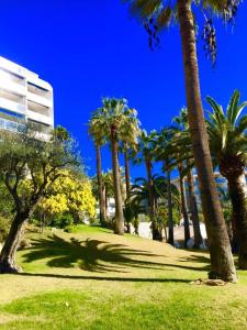a group of palm trees in a park with a building at Parc Montfleury in Cannes
