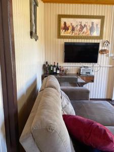 uma sala de estar com um sofá e uma televisão de ecrã plano em Mountain House em Bom Jardim da Serra