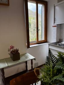 eine Küche mit einem Fenster und einem Tisch mit Pflanzen in der Unterkunft Casa Piglione in Pian dʼOrsina
