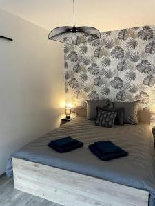 Ένα ή περισσότερα κρεβάτια σε δωμάτιο στο Bel appartement sur cour plein centre ville et parking