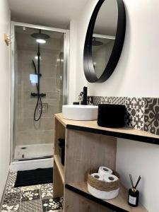 een badkamer met een wastafel, een spiegel en een douche bij Bel appartement sur cour plein centre ville et parking in Moulins