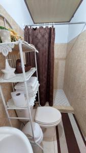 un bagno con wc e doccia di Tocumen Sweet Home a Cabuya
