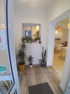 a hallway with potted plants and a mirror at Hotel Lobo de Mar - Las Heras in Mar del Plata