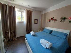 een slaapkamer met een blauw bed en een raam bij Grape's Home in Canelli