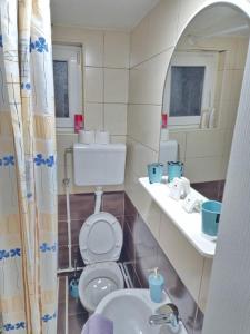 a bathroom with a toilet and a sink and a mirror at Country house Eco estate in Bijelo Polje