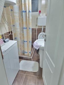 a bathroom with a sink and a toilet and a shower at Country house Eco estate in Bijelo Polje
