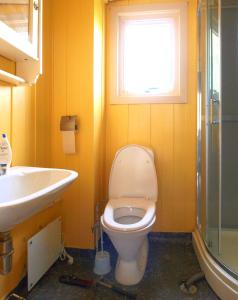 a bathroom with a toilet and a sink and a window at House near the University in Ås - Ski in Ås
