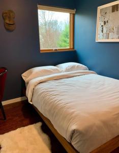 a bed in a blue room with a window at Rig Veda House - Saratoga Estate Property 