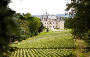 un castello su una collina con un vigneto di fronte di Le Clos Saint Vincent maison avec piscine a Vauciennes