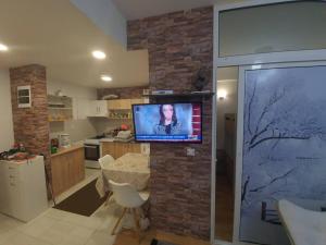 Kuchyň nebo kuchyňský kout v ubytování Cosy apartment in Mavrovo
