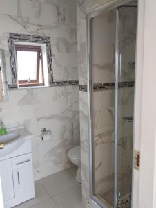 a bathroom with a shower and a toilet at Shepherds Lodge B&B in Killarney