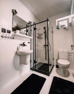 W łazience znajduje się prysznic, toaleta i umywalka. w obiekcie Pokoje Gościnne Sylwia w mieście Krynica Morska