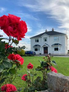 a white house with red roses in a yard at Inny River Lodge in Rathowen
